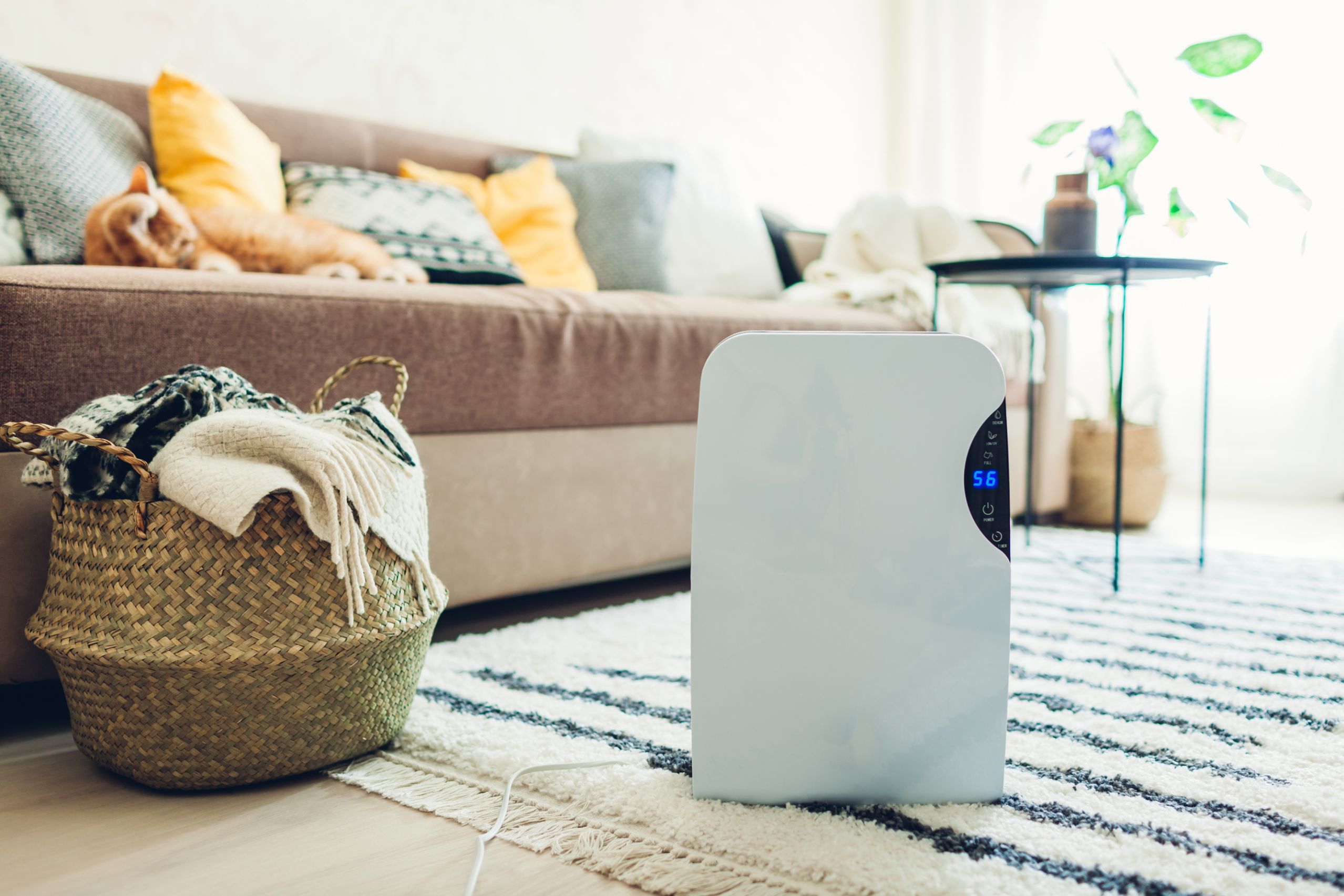Top 6 Must-Have Items Under $100